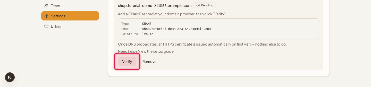 The Custom domain card with the CNAME instructions and Verify button highlighted